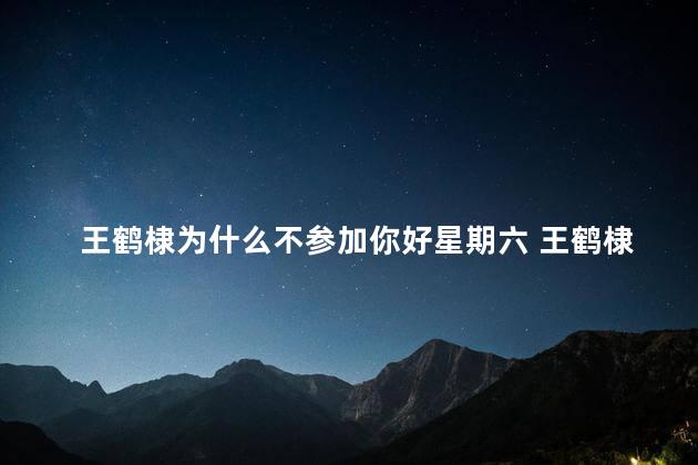 王鹤棣为什么不参加你好星期六 王鹤棣不参加你好星期六的原因